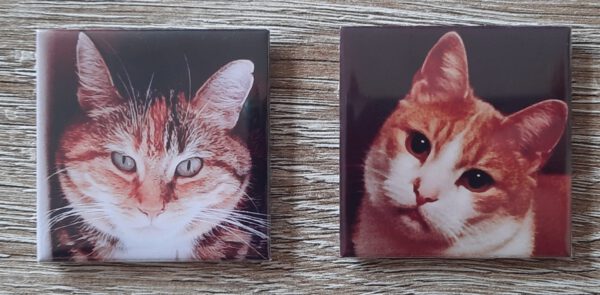 Set á 6 fotomagneten 5x5cm - Afbeelding 5
