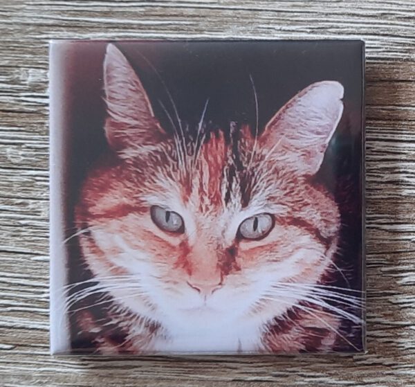 Set á 3 Fotomagneet 5x5cm - Afbeelding 5