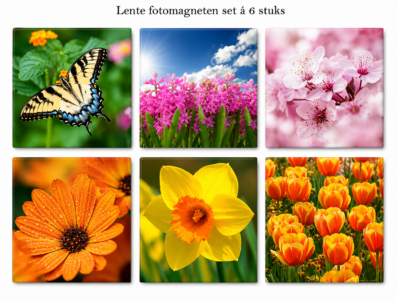 Bmagnets limited edtion lente fotomagnetenset, kleurrijk, scherpe foto's.