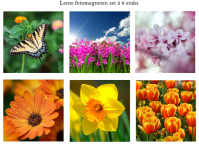 Bmagnets lente fotomagnetenset paasgeschenk of als cadeau